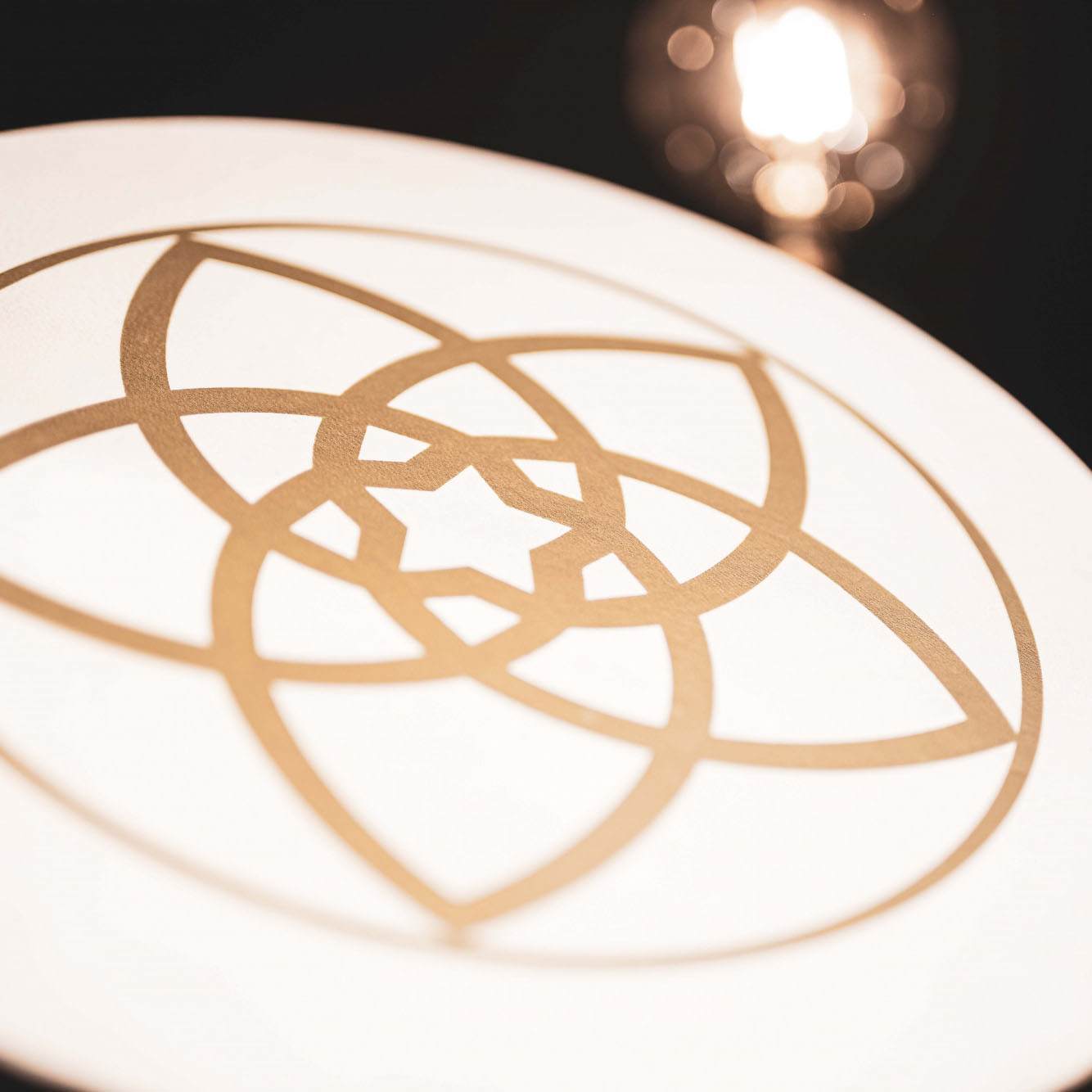 Meinl Sonic Energy Hand Drum 16" - Venus Flower (HD16WB-VF)