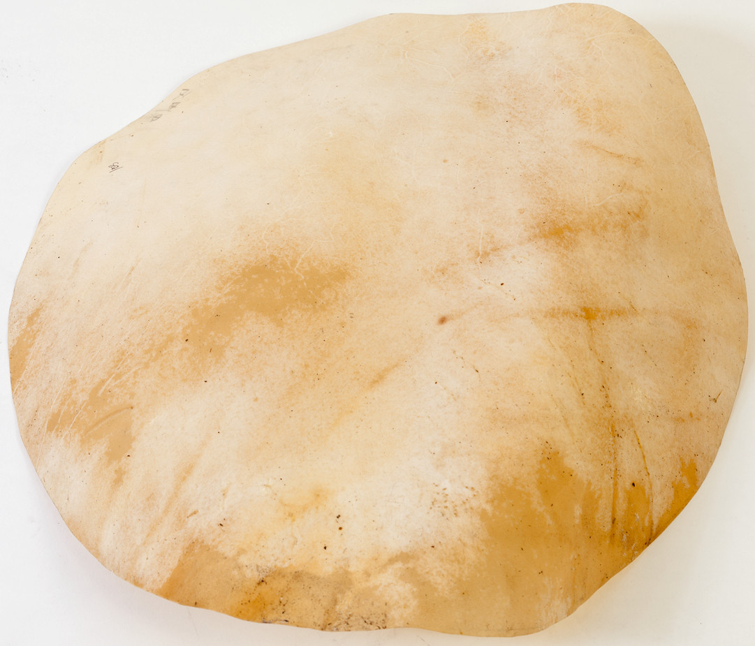 HEAD-116__6904a5ca-c5b1-4e82-8f6d-efe1f46b6ed8