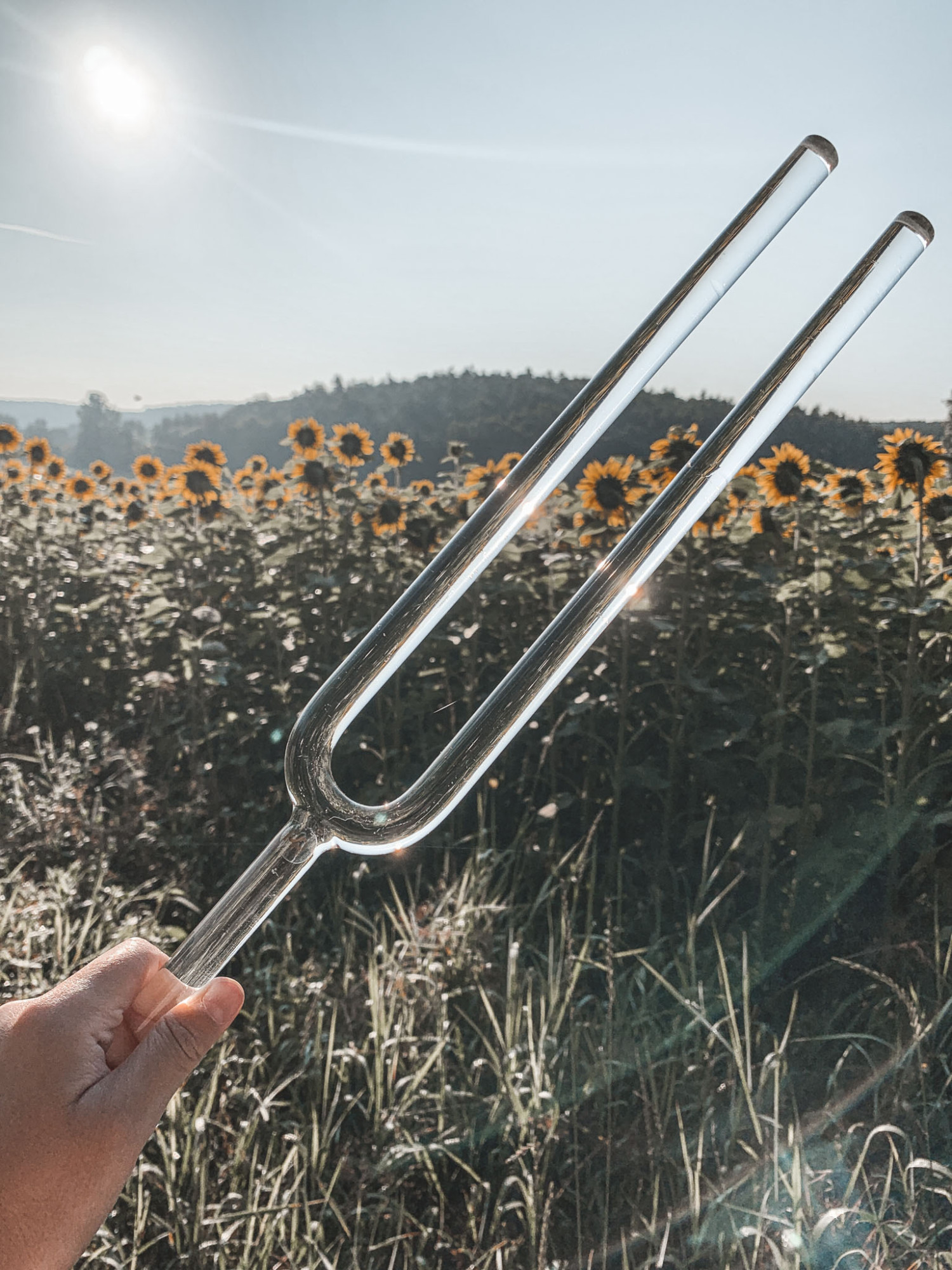 CTF440C16__a44f1f7f-7330-484b-9f0b-d4f80e07263e