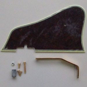 IBANEZ Pickguard AF207 (4PG1AF207)