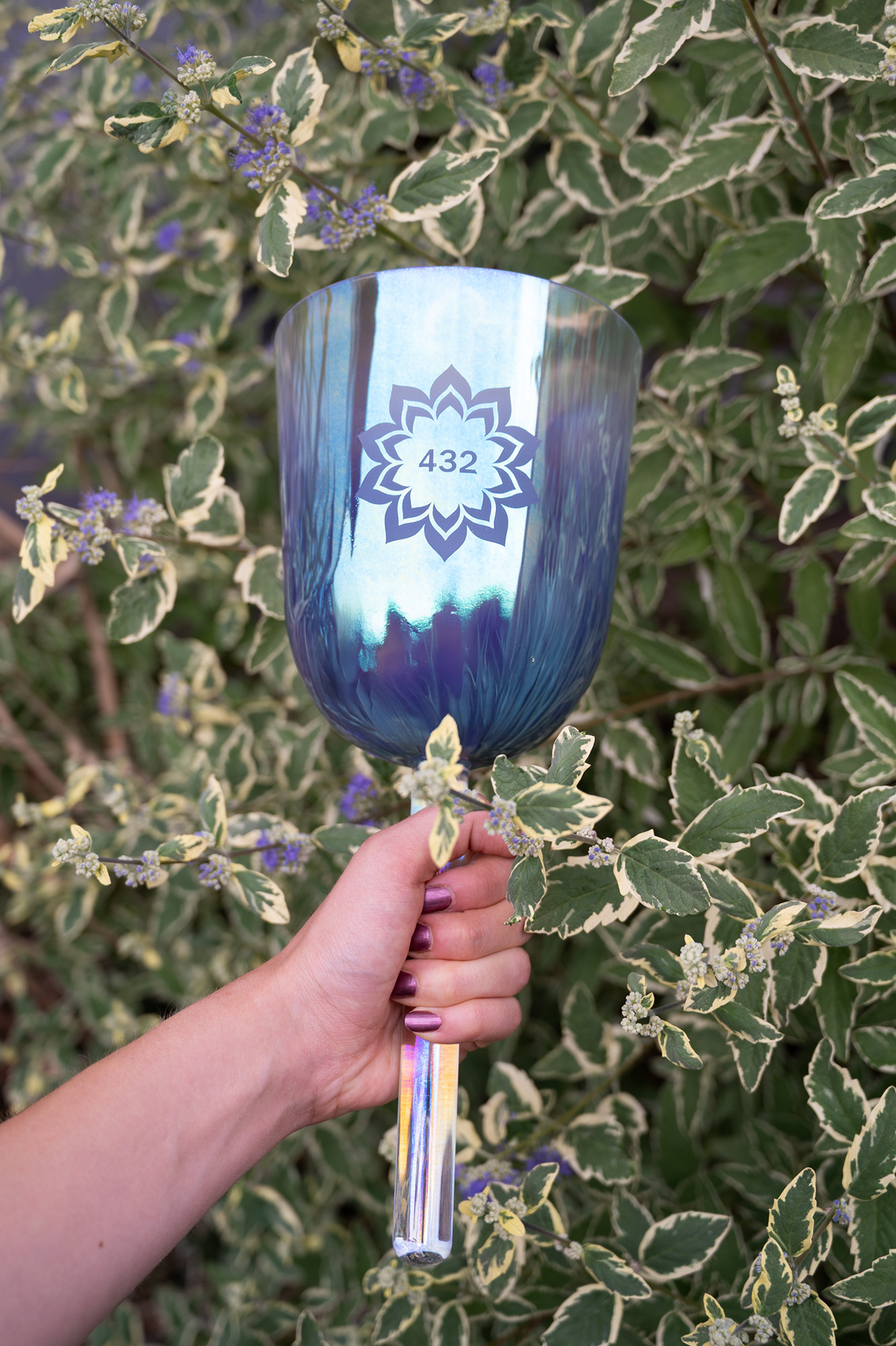 ECSB432LF__c98ebc20-0fc3-4c14-a77a-374a24e79a3e