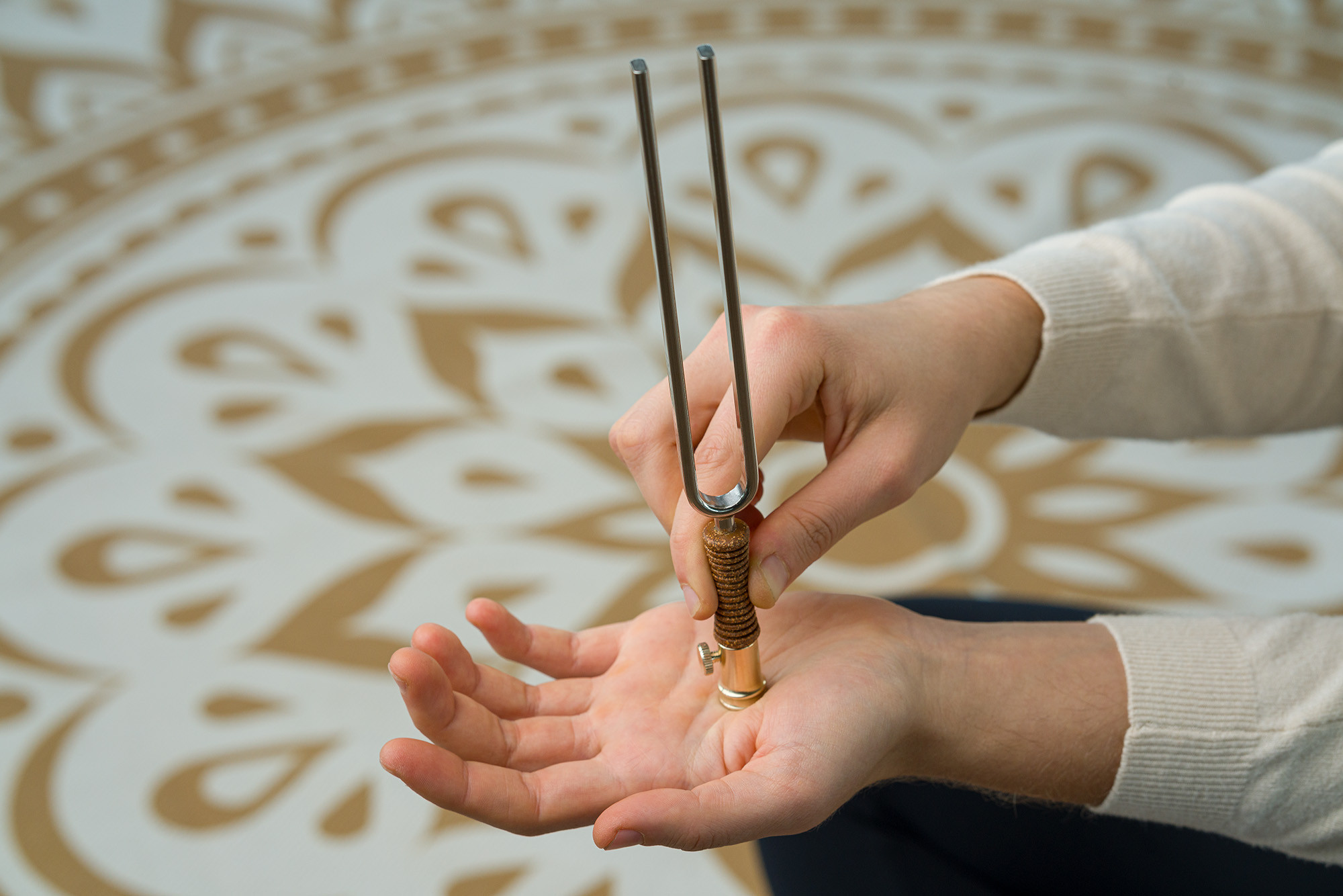 TF-FOL-BUNDLE__47abb257-e96f-423c-a3bb-192f42c208c9