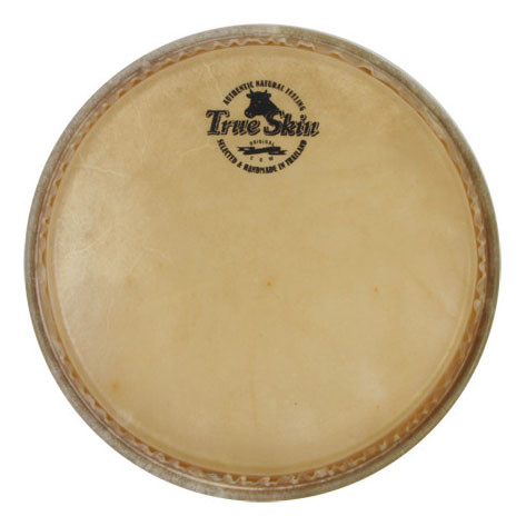 MEINL Percussion buffalo head - 9" for Woodcraft WBO500 + CS Collection (TS-B-26)