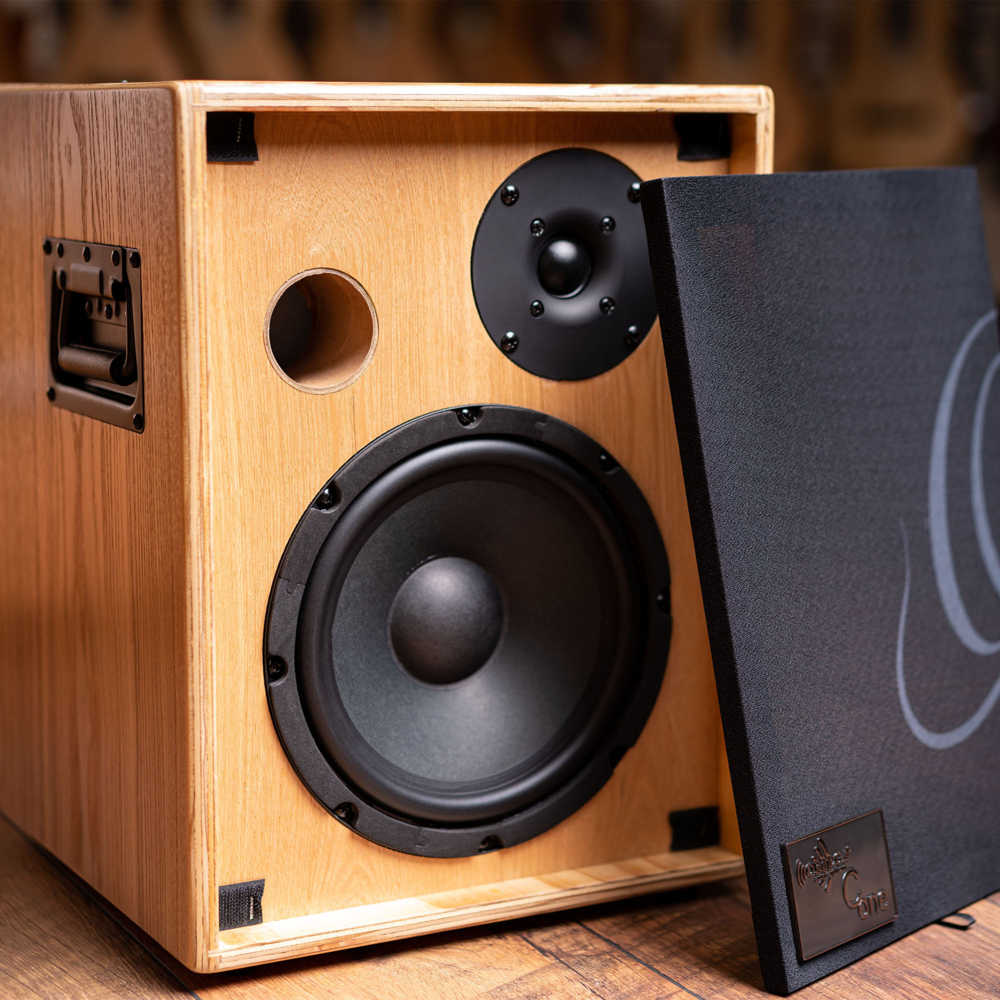 ORTEGA Amplification Serie Amplifier Combo (CONE-ASH)