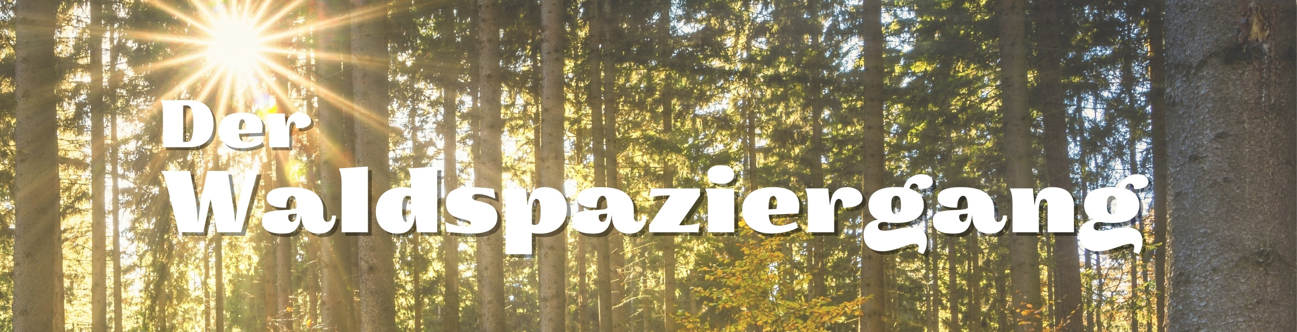 Klangszenarien_Waldspaziergang_Banner_DE