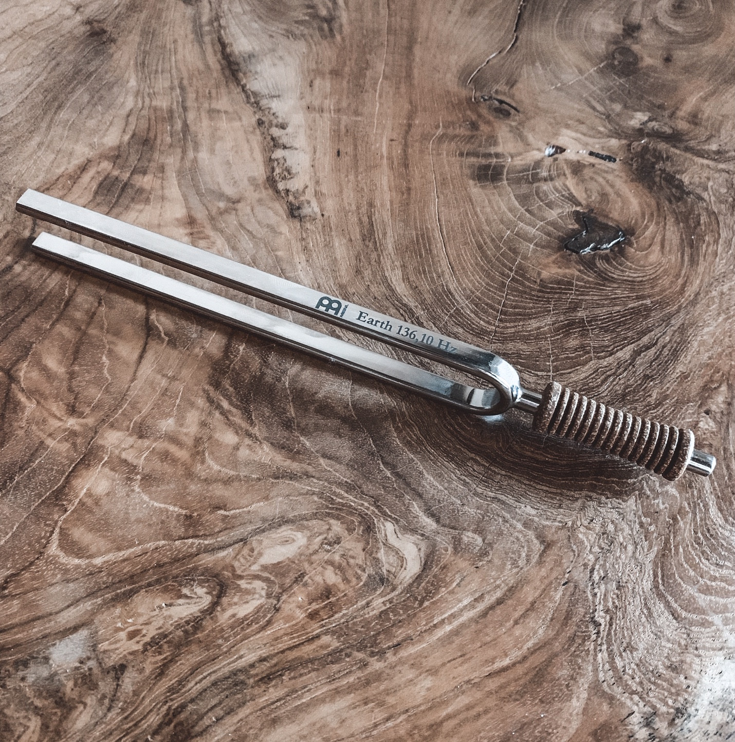 TF-E__3ce944ff-82ac-4b5e-b1f6-937392d4b967