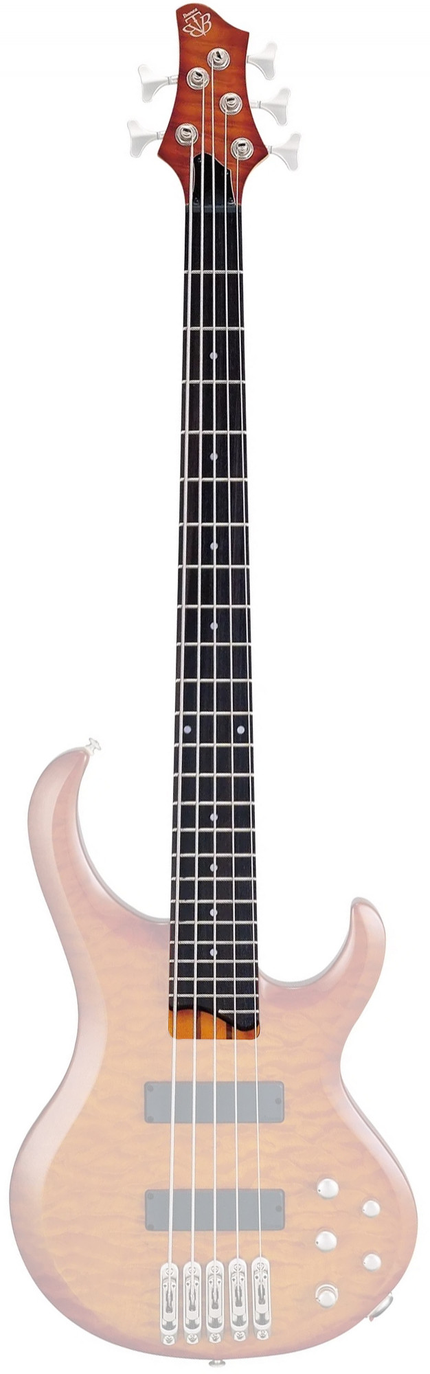 IBANEZ Hals - für BTB400QMHS (1NKPBT51HS)