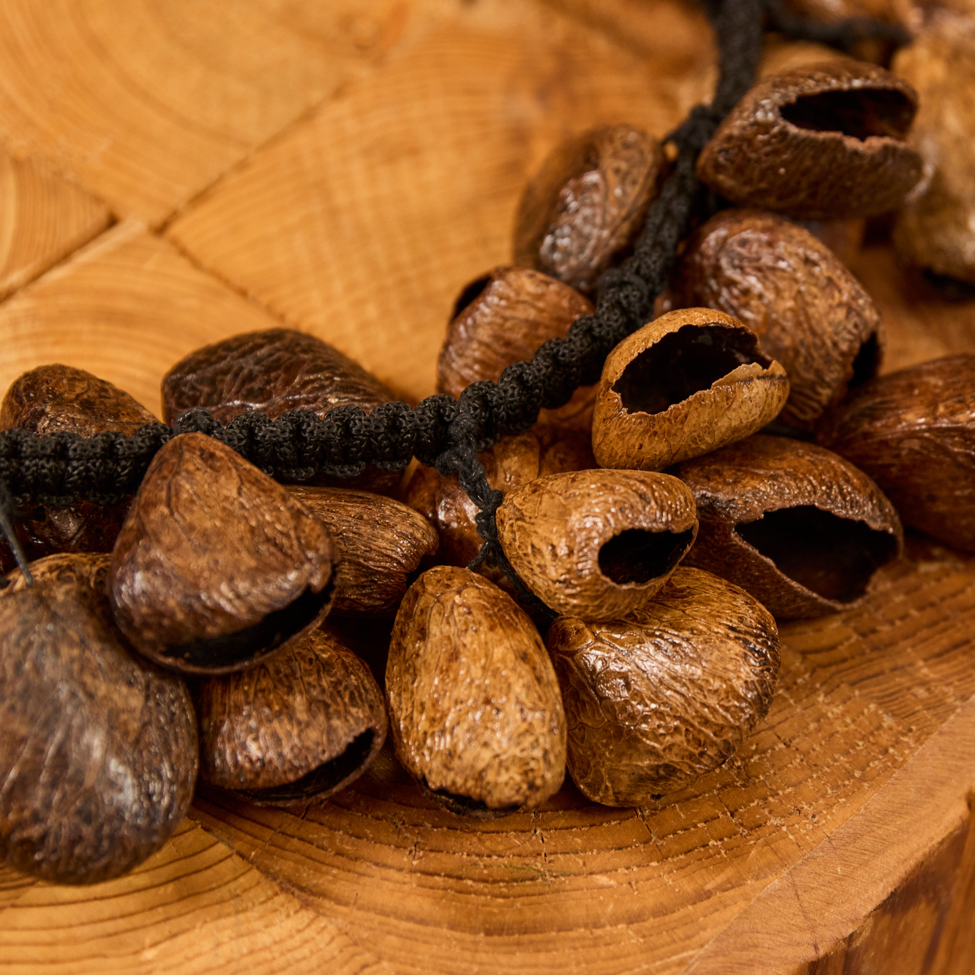 MEINL Percussion Pangi Waterfall Shaker, 40 Seeds (WA5)