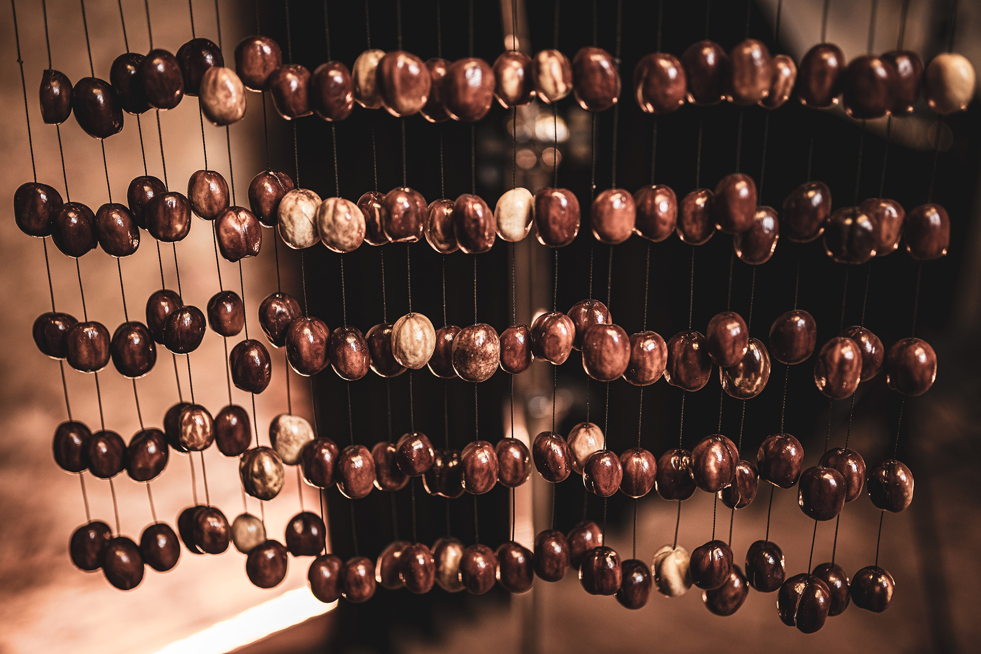 SPCH__d03e74ca-8f64-4088-877d-38648855464d