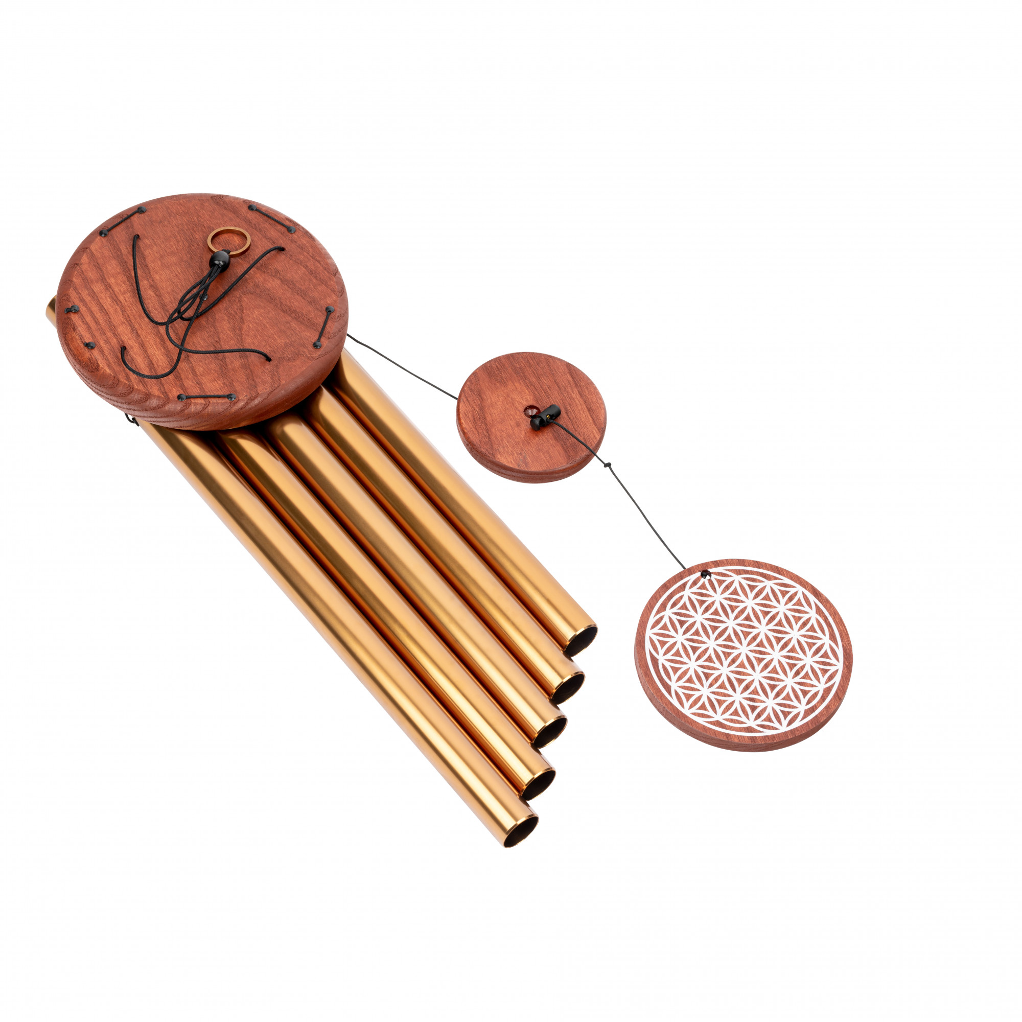 FOLMC36B__983c0c02-095f-4478-a5cb-373968003119