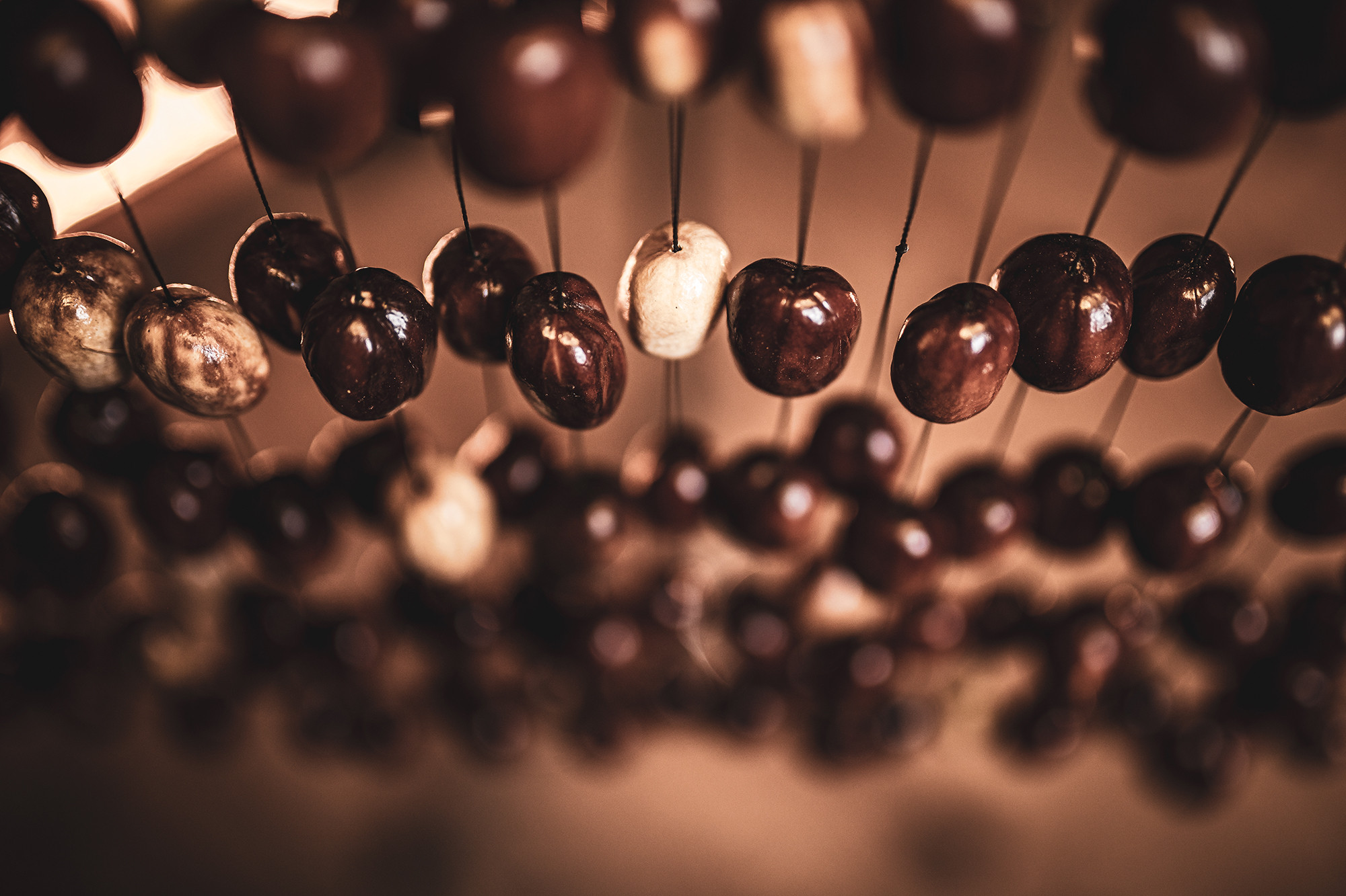 SPCH__54e3c369-31f6-41e8-a28c-d99a0f692a1c