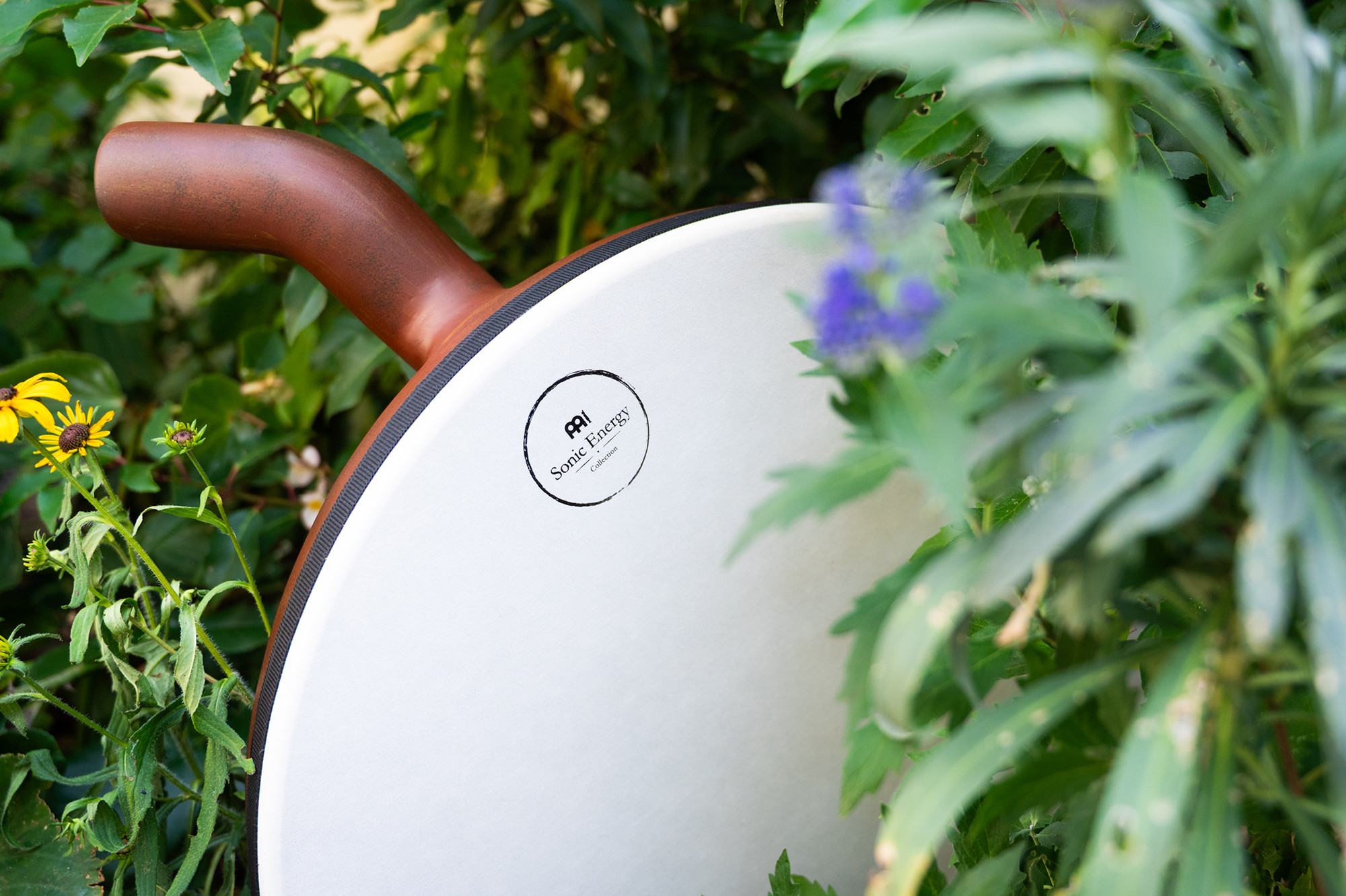 DDD18__73872ae3-da8f-490b-adec-ad9eb9957eda