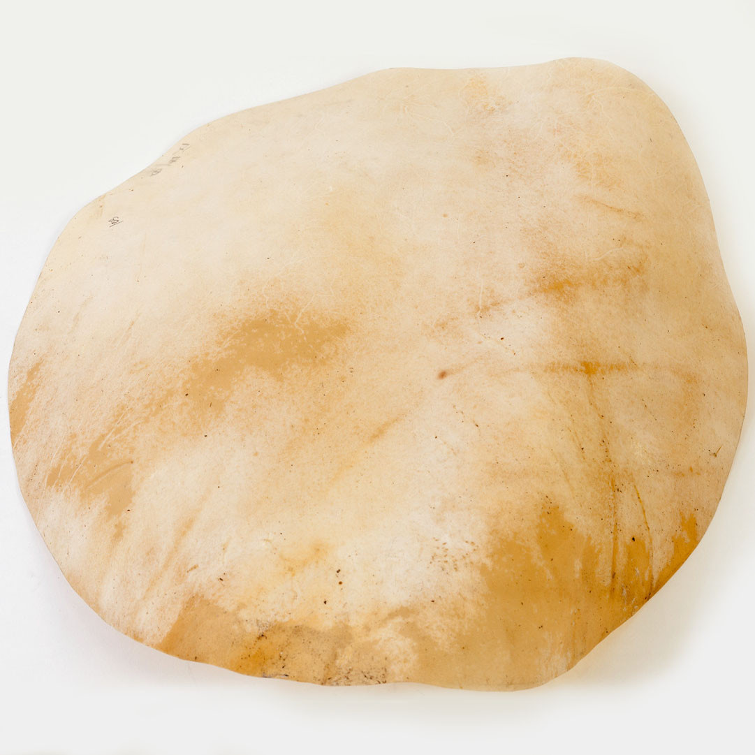 HEAD-116__a9be68e7-6fe1-415f-b04f-9779637b6171