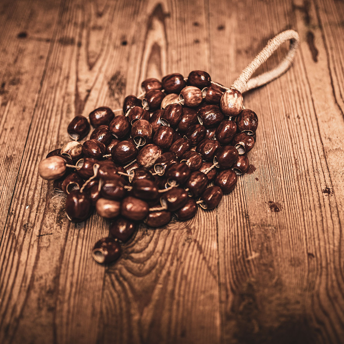 Meinl Sonic Energy Pala Shaker - Large (SPRL)