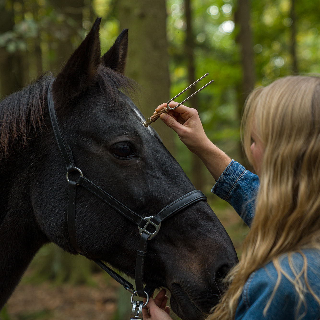 MEINL Sonic Energy Tuning Fork Vibration Foot Small - Gold (VF-FS)