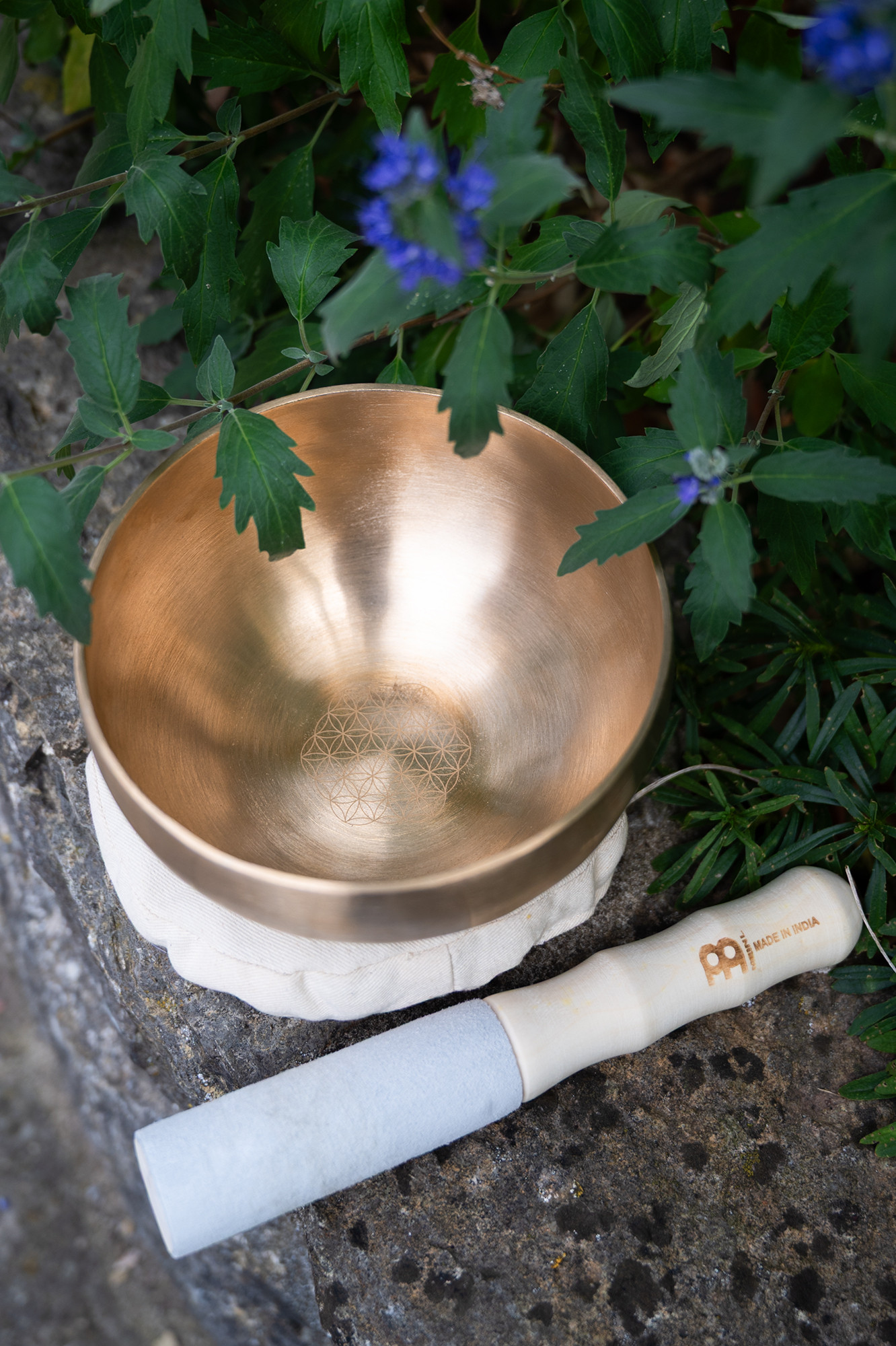 SB-SET-FOL600__12614d7a-d4cf-4d77-8ecd-a5488b9d9ea1