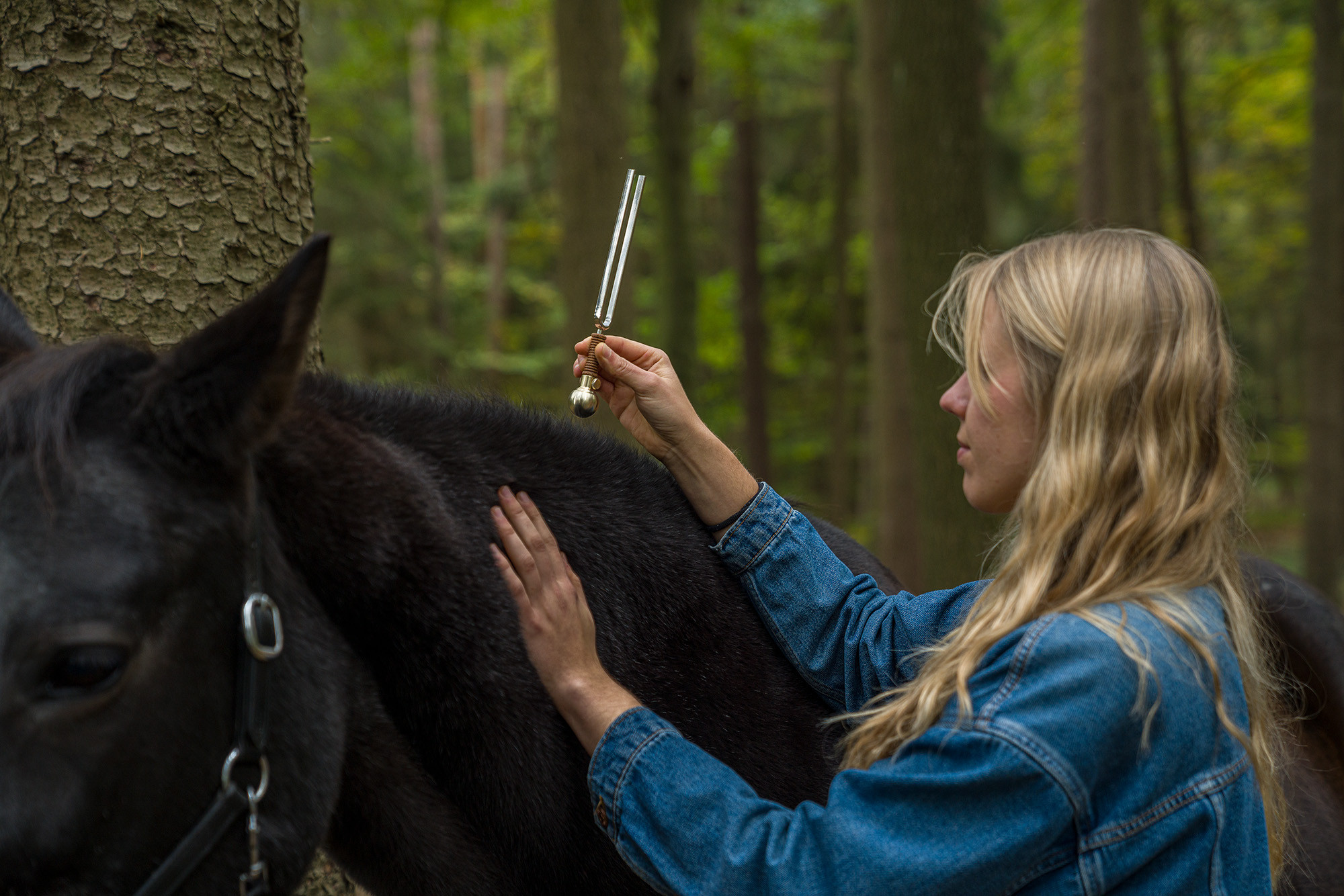 VF-RM__df87f3e4-bd42-486f-86ae-a4fae3d6327b