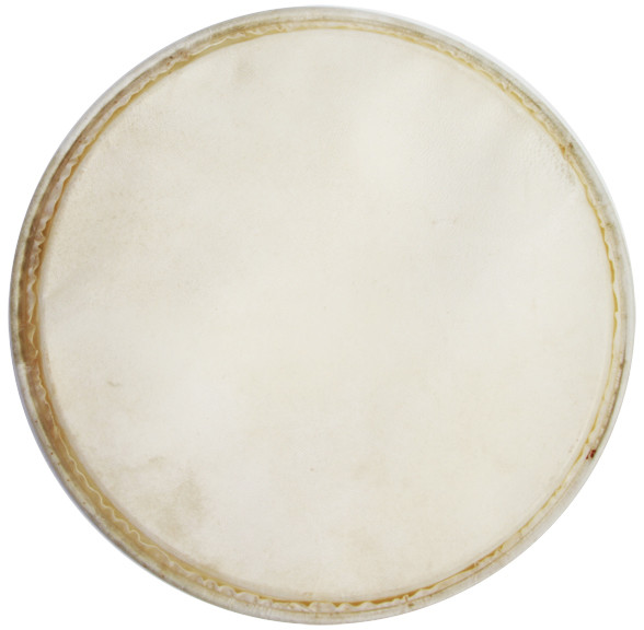 MEINL Percussion head for Plenera Set PL-SET - 10" (HEAD-76)