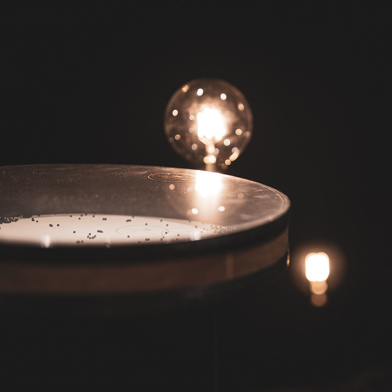 MEINL Sonic Energy Wave Drum 16" - Walnut Brown (WD16WB)