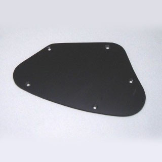 IBANEZ Cavity Plate - black for SA, SAS series (4PT27A0002)