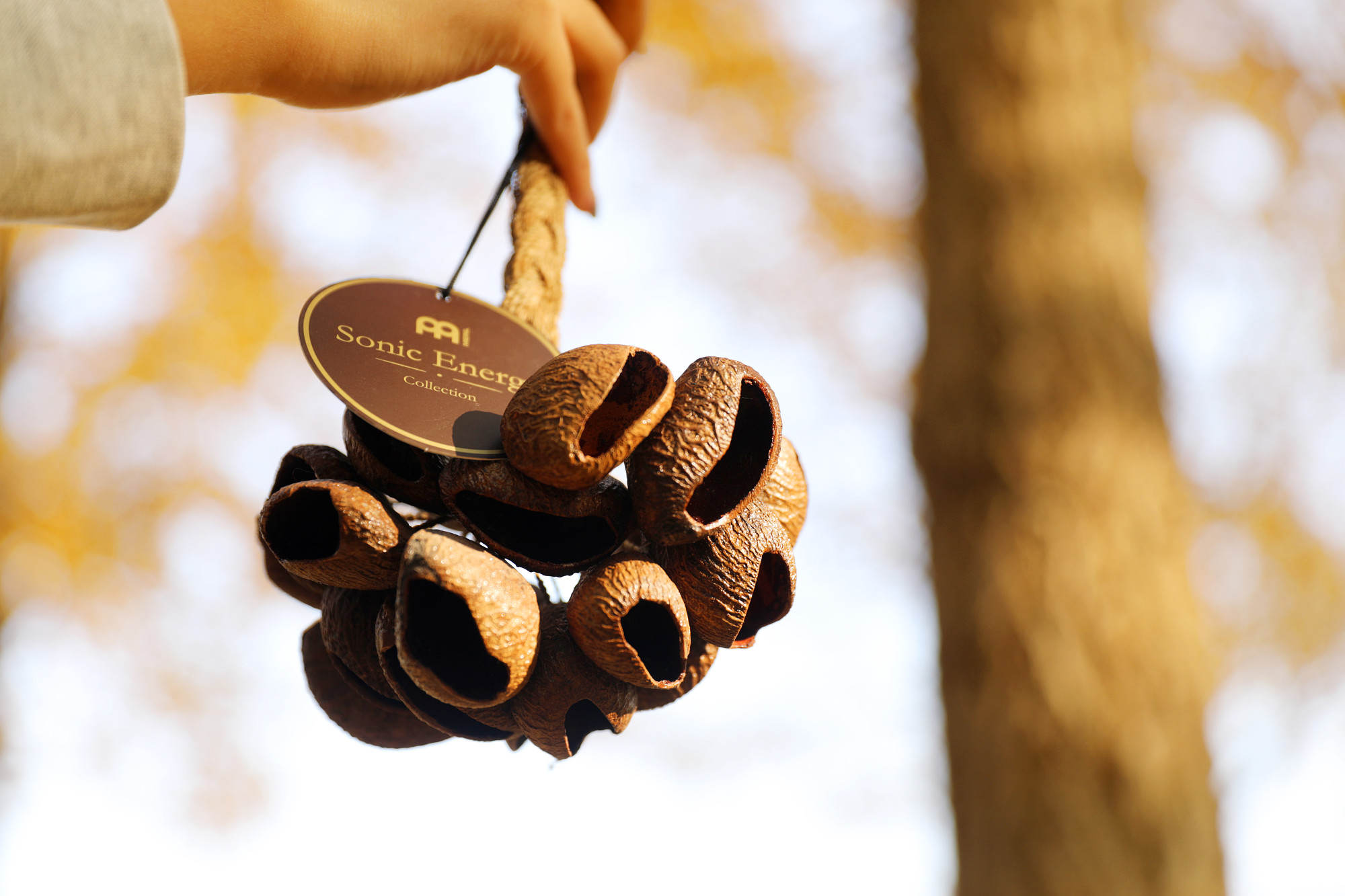 MEINL Sonic Energy Pangi Shaker - Small (SPGRS)