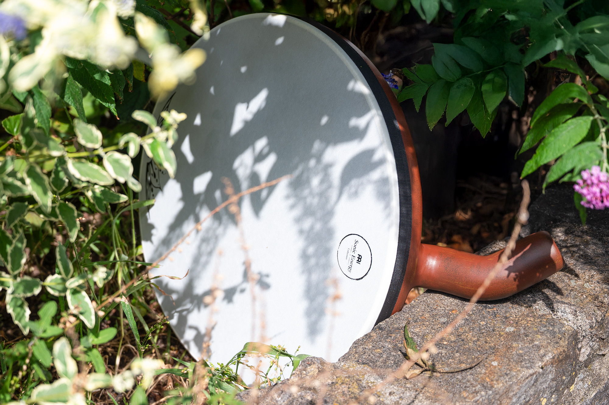 DDD18__5e6b1010-3dbe-43ed-8e66-e0f36697b514