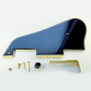 IBANEZ pickguard - black for AM93/AS93 (4PG12A0032)