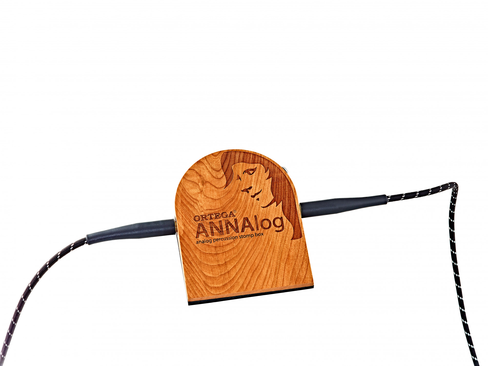 ANNALOG__ec613072-2e32-426b-86d6-b194e0883c98