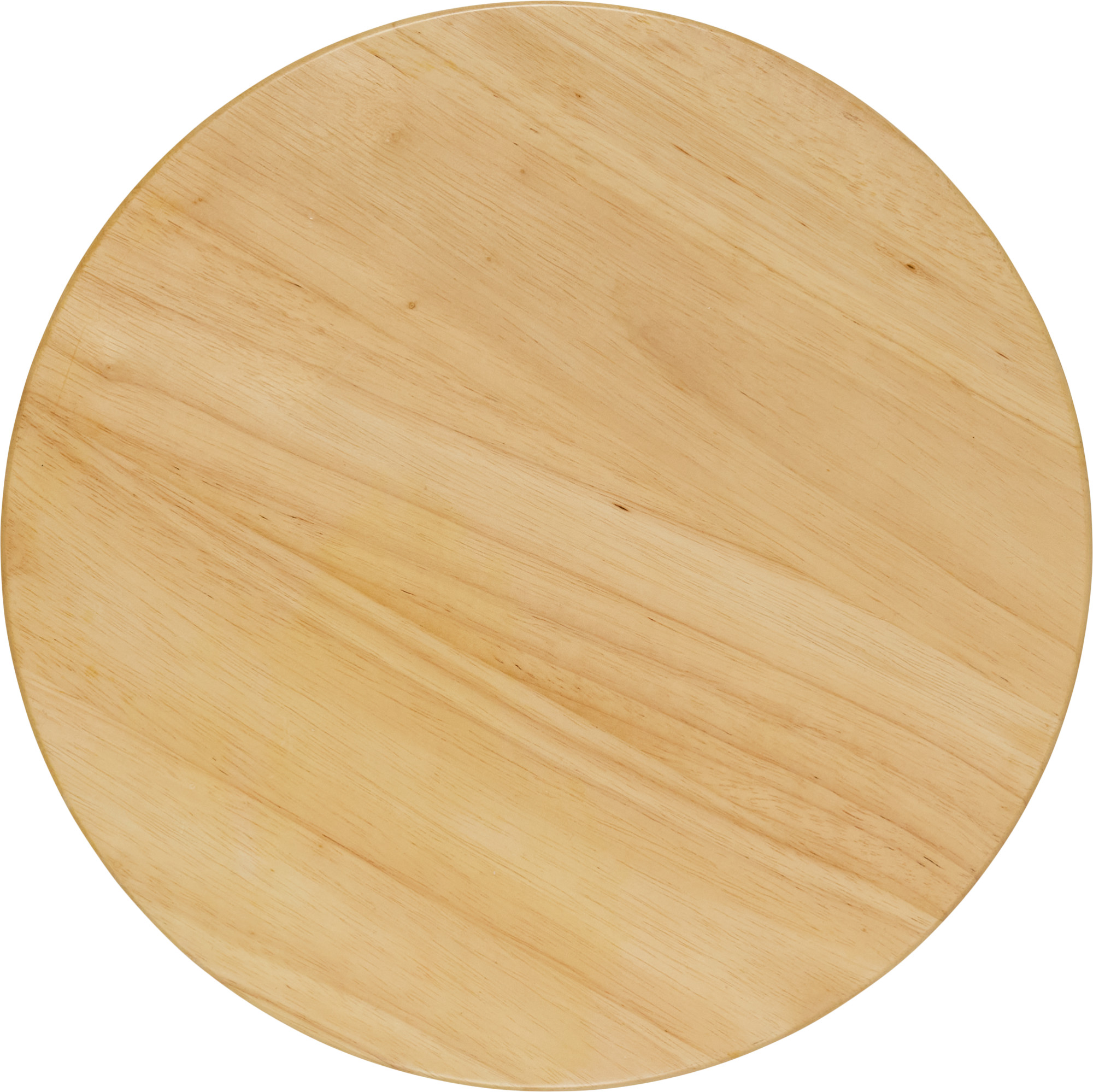 MEINL Percussion Conga Sound Plate - 13 1/4" (CSP)