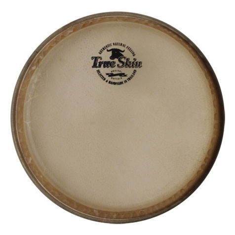 MEINL Percussion 9" True Skin Bongo Head - for FWB500 (TS-C-05)