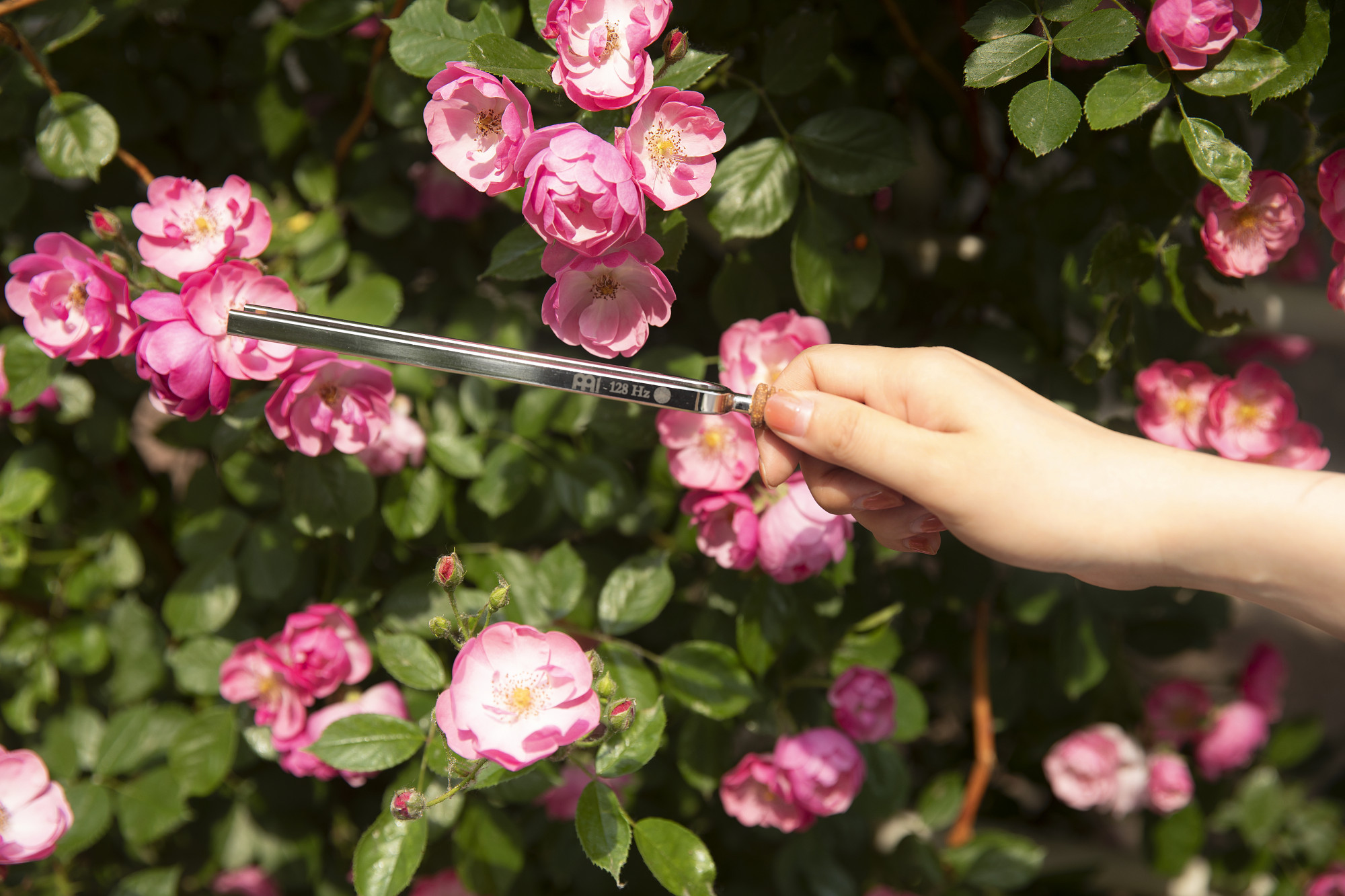 TF-FOL__8936833e-b458-4694-87fb-0005271a8278