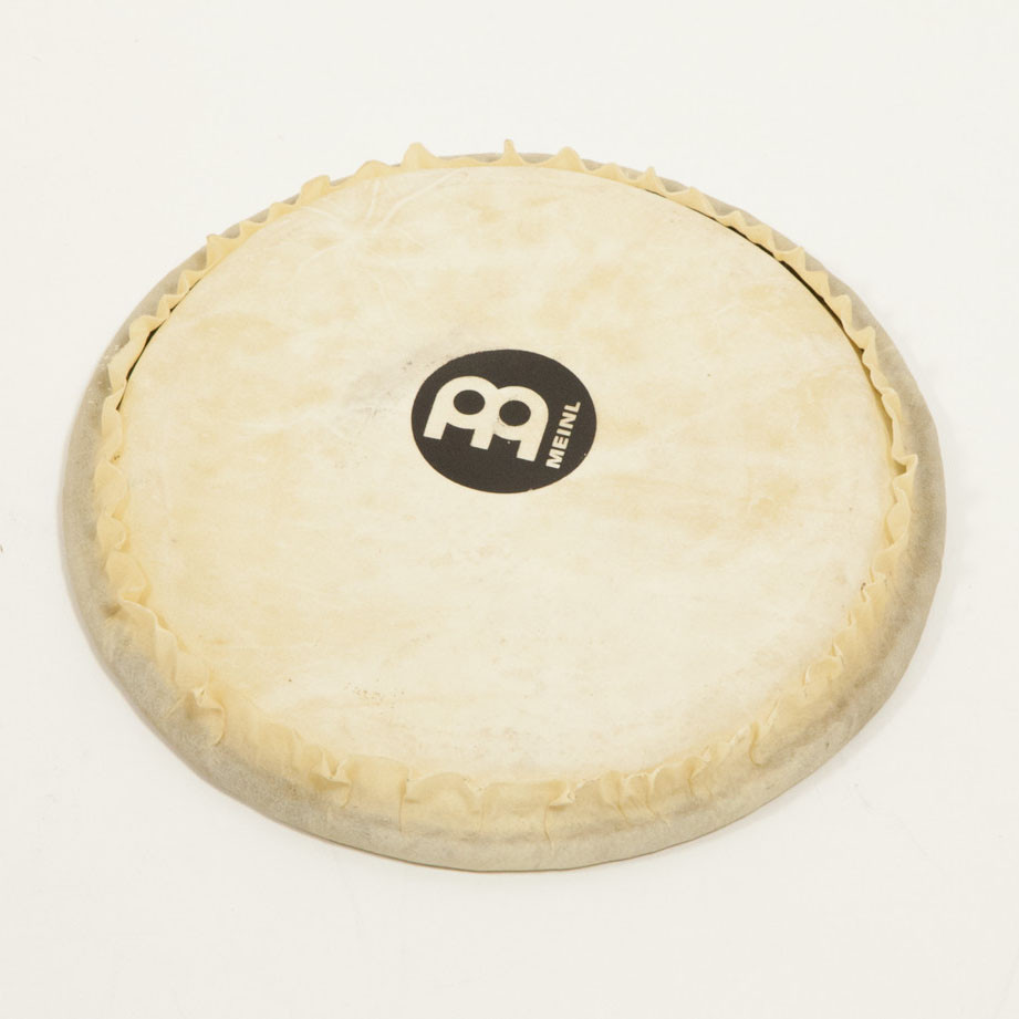 MEINL Percussion goat head for djembe PADJ2-S - 8" (HEAD-98)