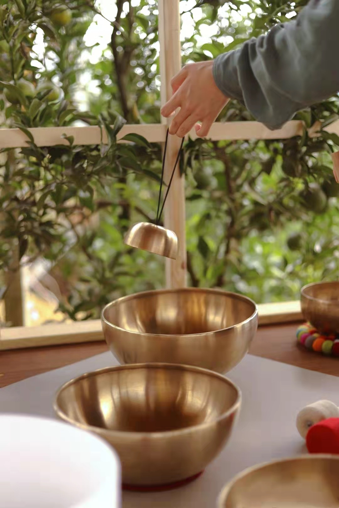 SB-C-250__a632c494-6482-4c62-940b-011c593012a4