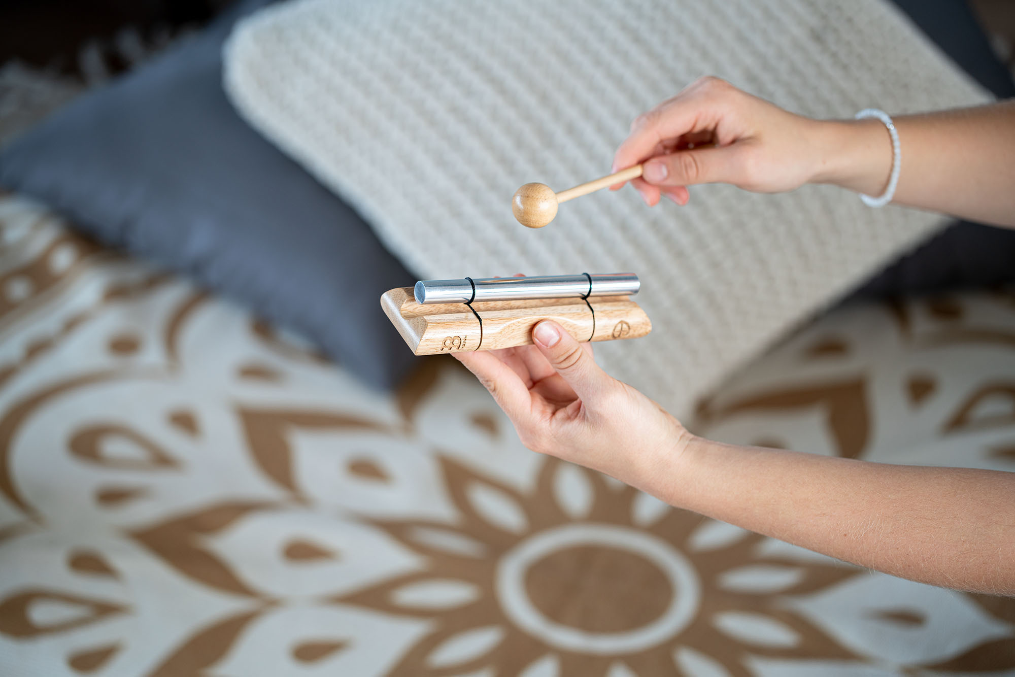 EC-E-SI__5df367a0-5331-4864-84e5-7f32f92b48ba