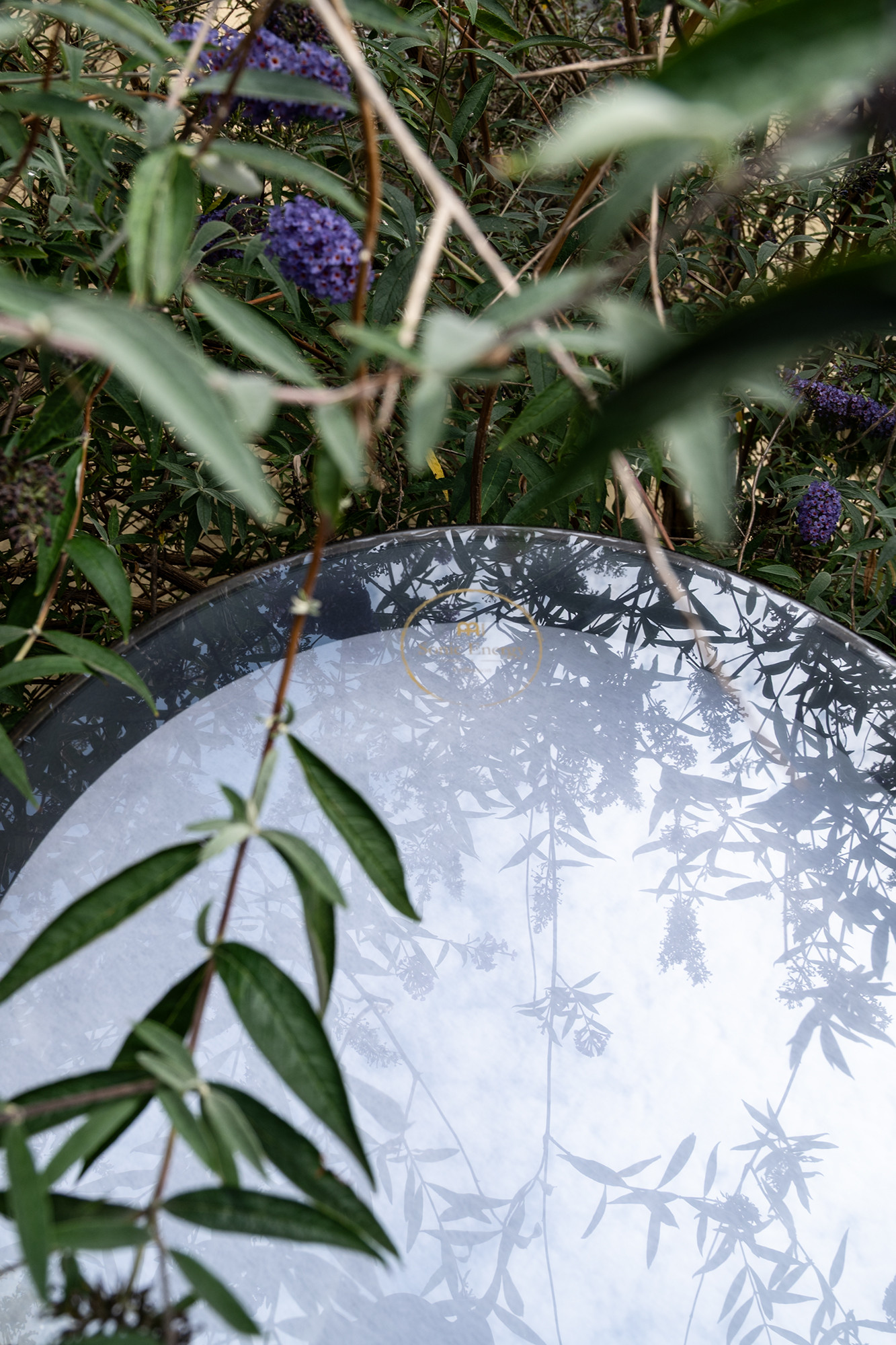 WD16WB-WH__17cd06c4-0d33-4c42-8065-5127bbcd25ff