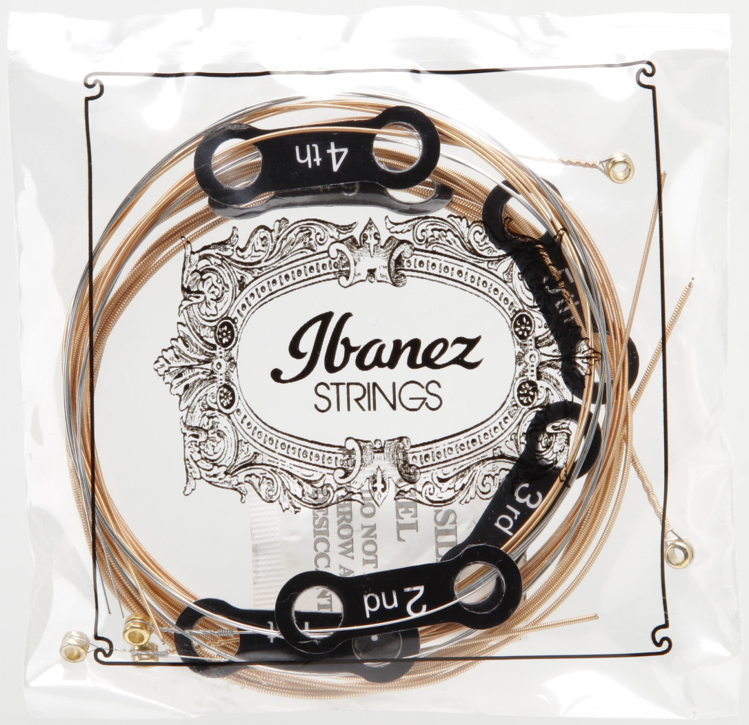 IBANEZ Saiten Set für 6 String Akustikgitarre - Extra Light (IACSP61C)