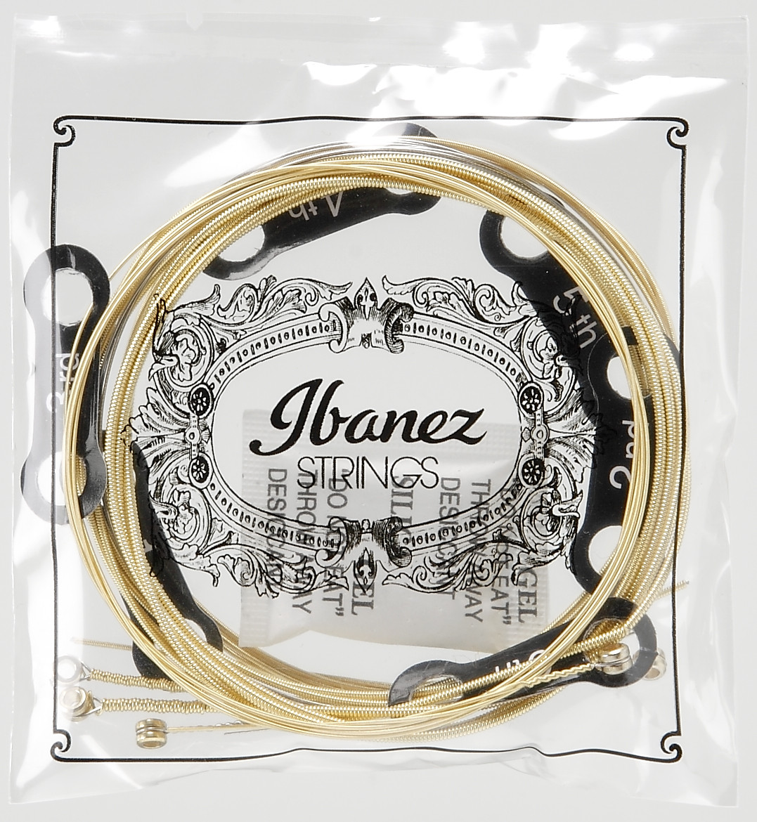 IBANEZ Saiten Set für 6 String Akustikgitarre - Light (IACS6C)