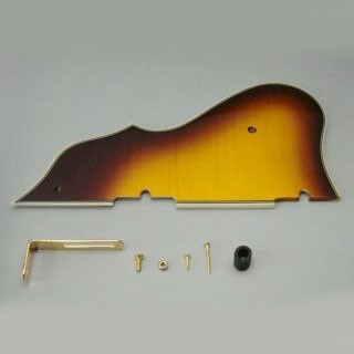 IBANEZ pickguard - AF105VB (4PG12A0006)