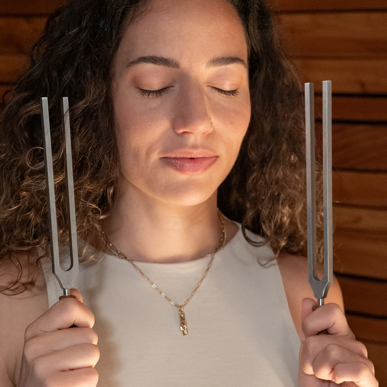 Meinl Sonic Energy Binaural Therapy Tuning Fork Set Theta - 2 pcs. (TTF-THETA-SET)