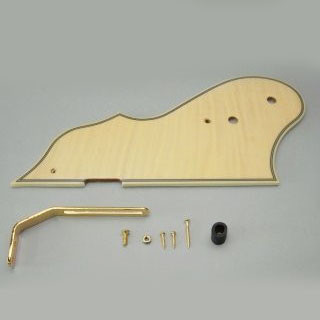 IBANEZ Pickguard (4PG1FMFNT)