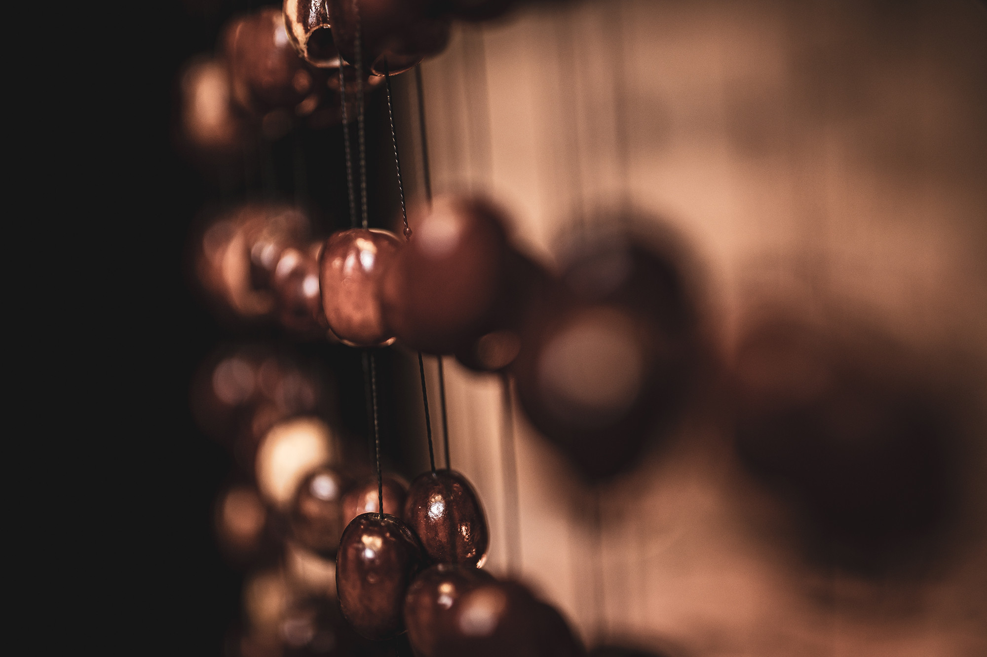 SPCH__6d6e5dff-8cda-4866-83c7-cf9072599213