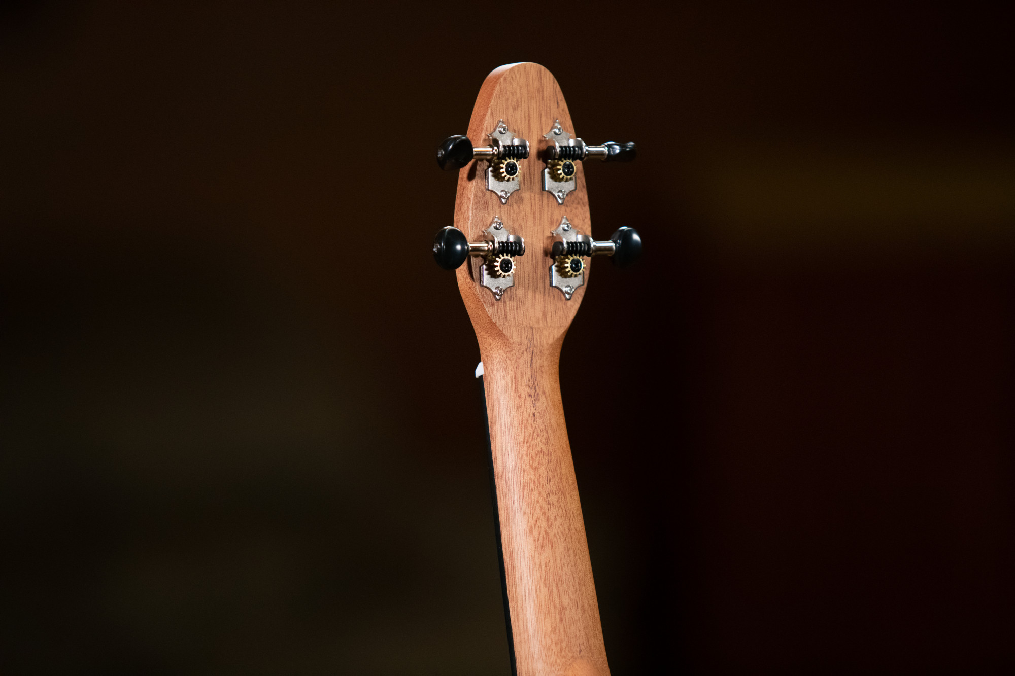 K3-SPM__ec99d7d9-f5c6-4ce0-b607-2b3aa29363ca