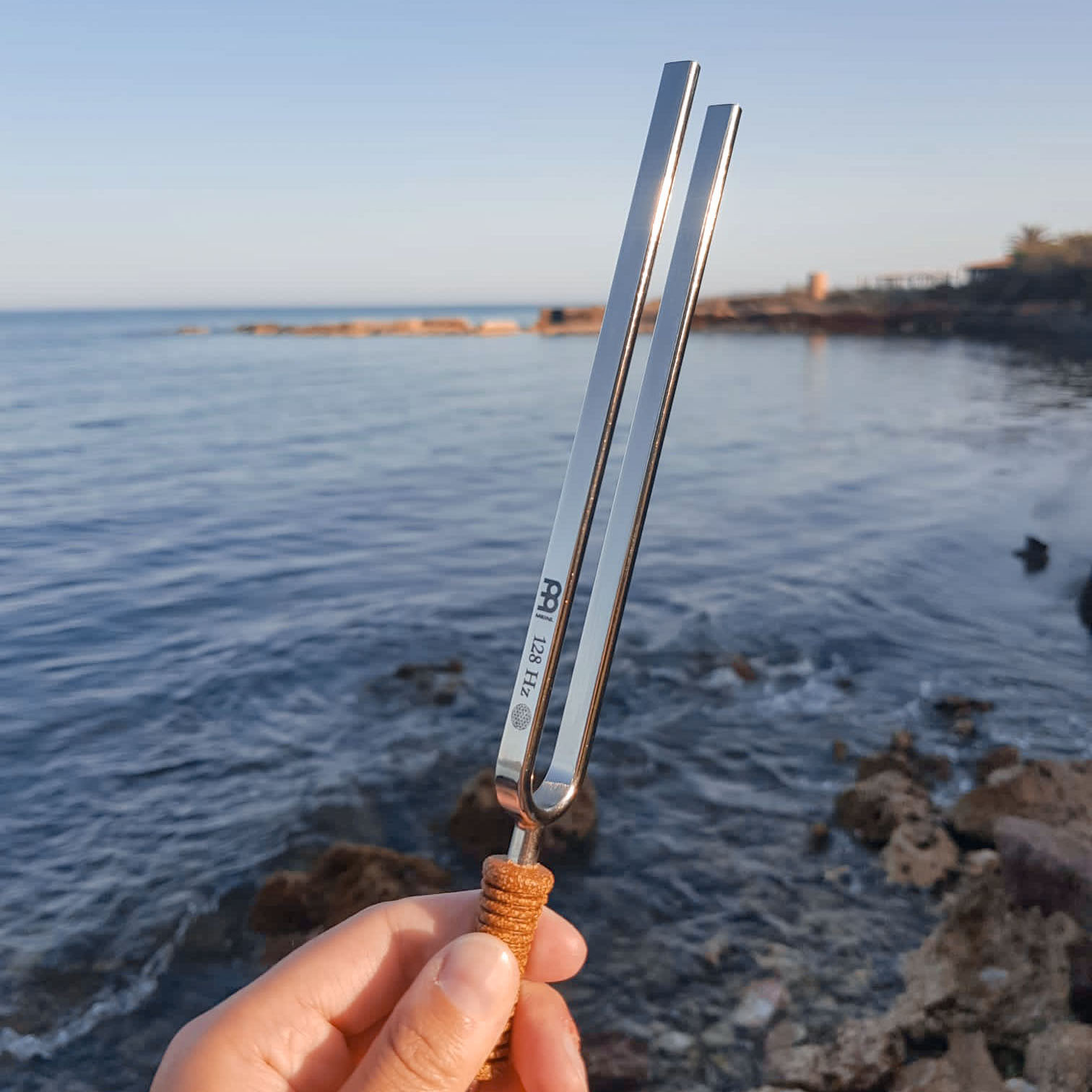 Meinl Sonic Energy Stimmgabel - Blume des Lebens - 128 Hz  (TF-FOL)