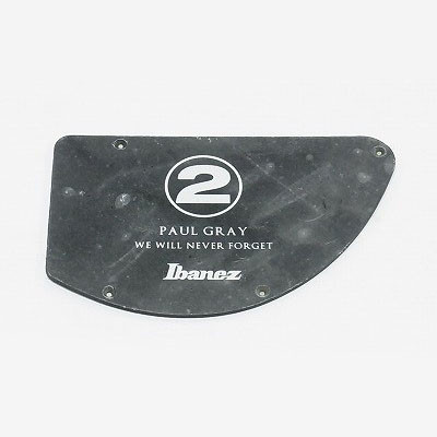 IBANEZ controle plate in  matt schwarz für PGB2T (4PT27C0015)