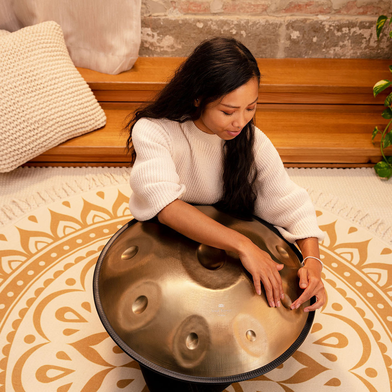 MEINL Sonic Energy Sensory Handpan Stainless Steel D Amara 9 Notes 440 Hz - Vintage Gold (HPSTL91)