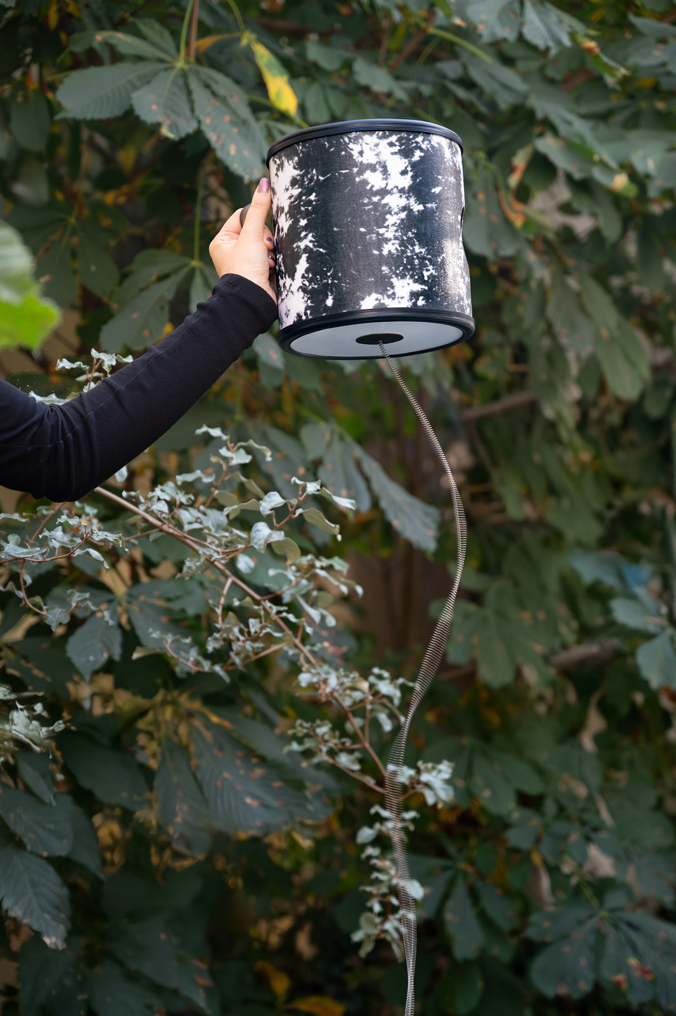 TDWL__e3831e3d-6774-460a-81b8-f62b6e27a349