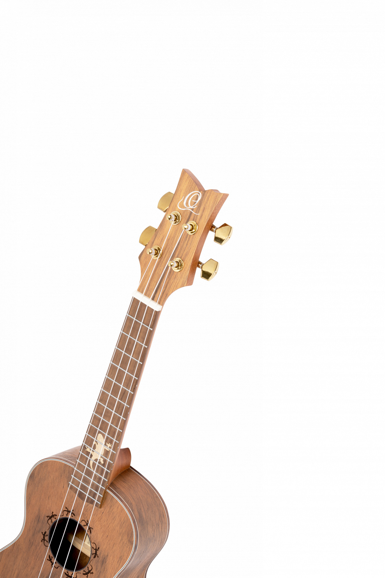 LIZARD-CC-GBL__38ab6473-709a-472a-b246-06a47e14f93e