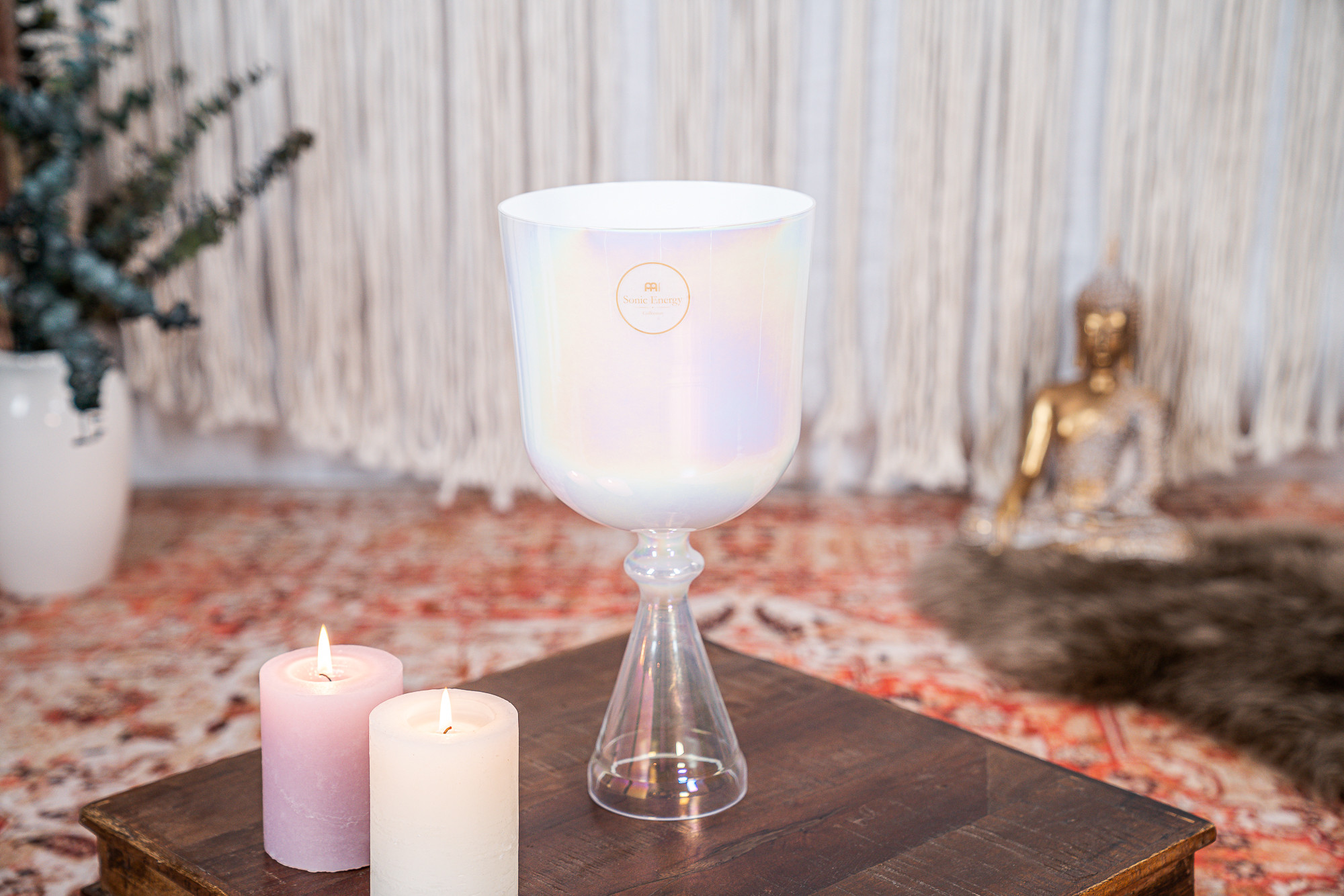 CSC675CC__e56fb1ac-0451-4f76-9526-8fb0a630beab