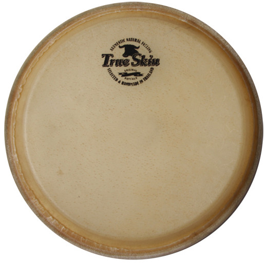 MEINL Percussion head for MEC11 Marathon MEC + current MCC series conga - 11" (HEAD-28)