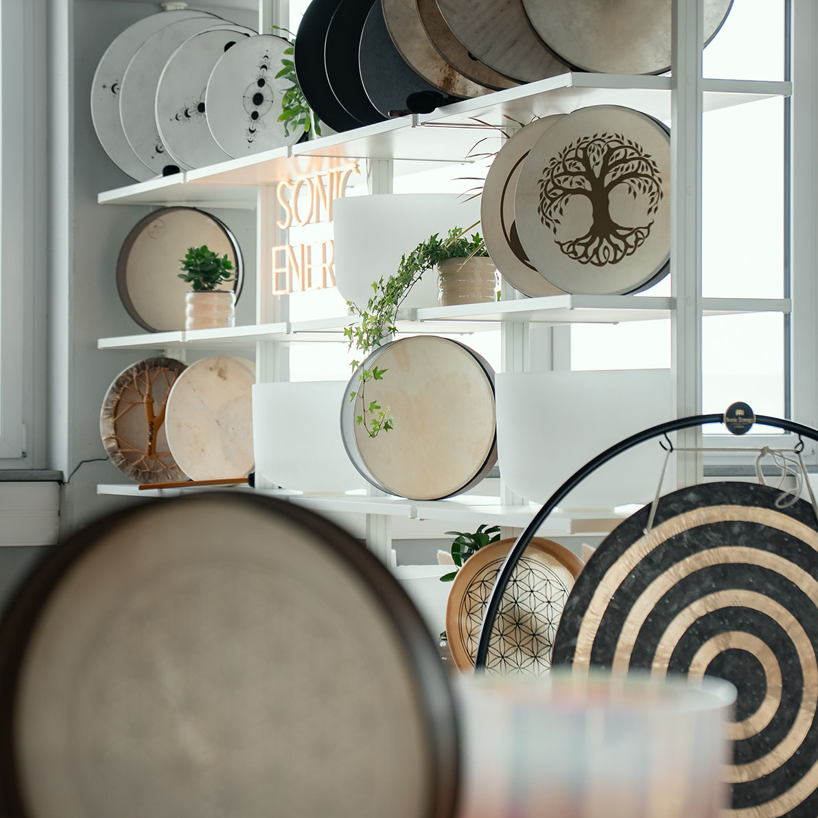 Showroom_Sonic Energy_03